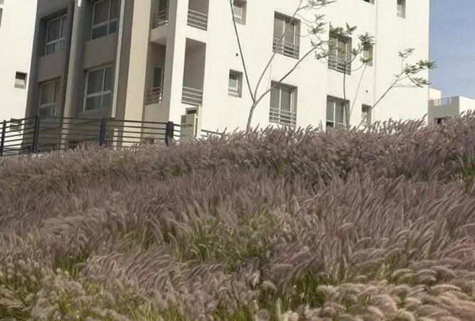 8548637 - صورة العقار 3