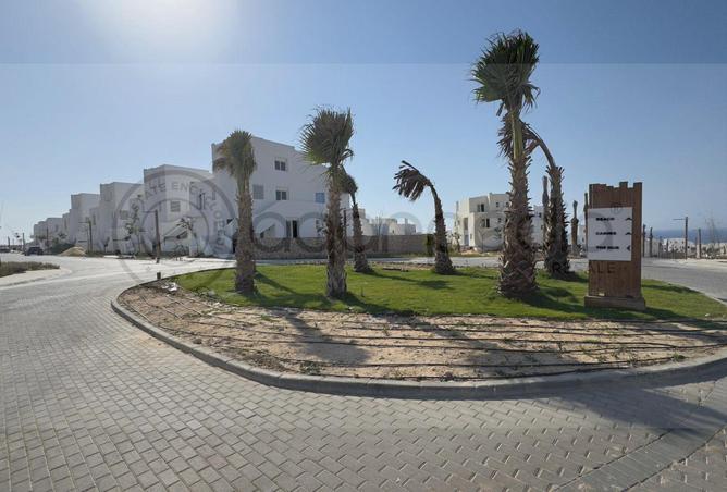 67733568 - صورة العقار 3