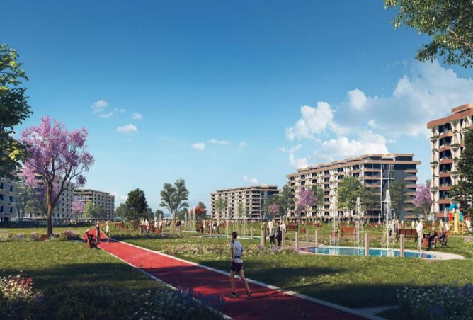 66175301 - Property Image 2