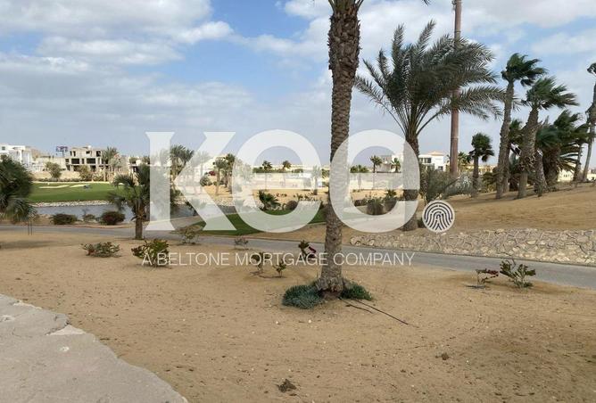 101204781 - Property Image 2