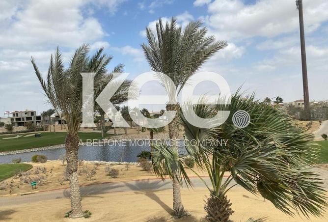 101204781 - Property Image 3