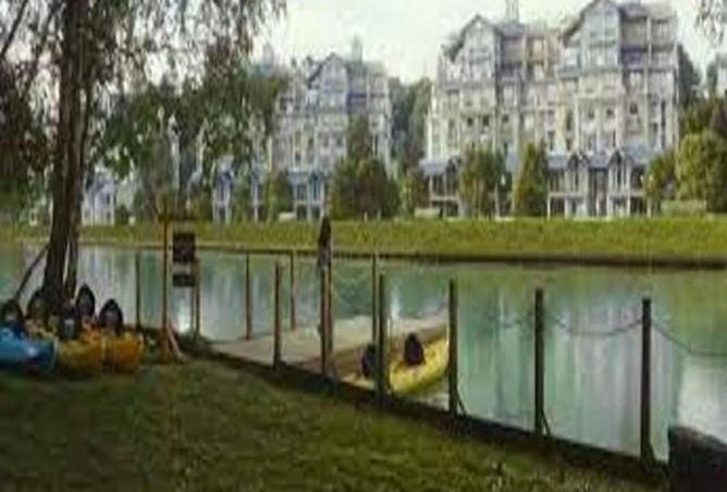 8650705 - Property Image 3