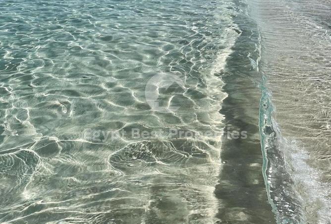 101778546 - صورة العقار 3