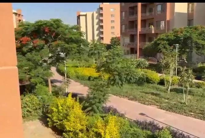 104594653 - الصورة الرئيسية للعقار