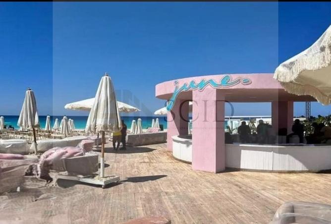 64637100 - Property Image 3