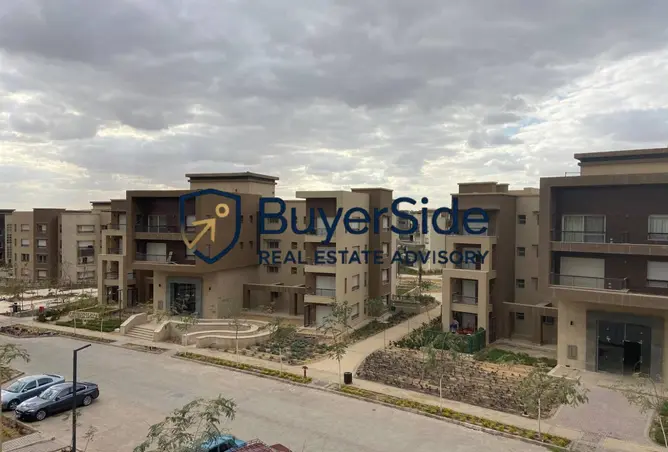 116744606 - Property Image 3