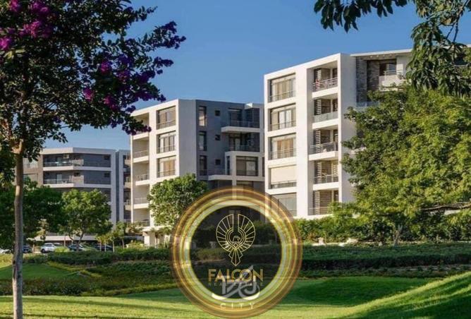 8566929 - Property Image 3