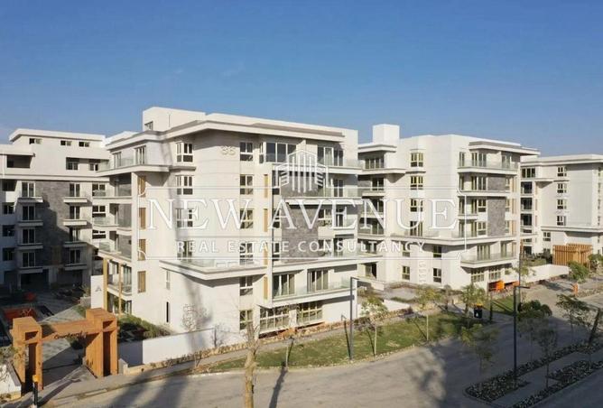 58248257 - Property Image 2