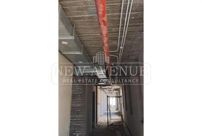101499109 - Property Image 3