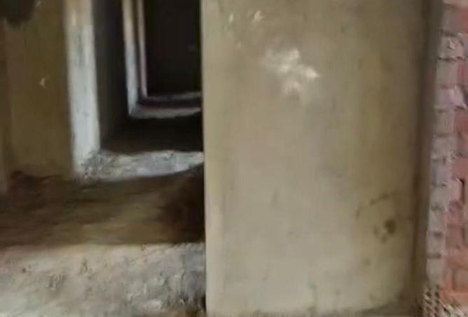 63384757 - صورة العقار 3