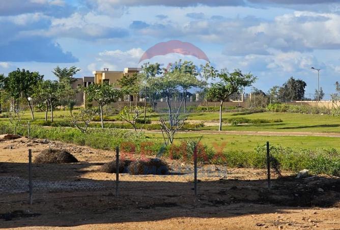 8429676 - الصورة الرئيسية للعقار