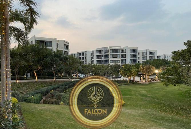 55761733 - صورة العقار 3