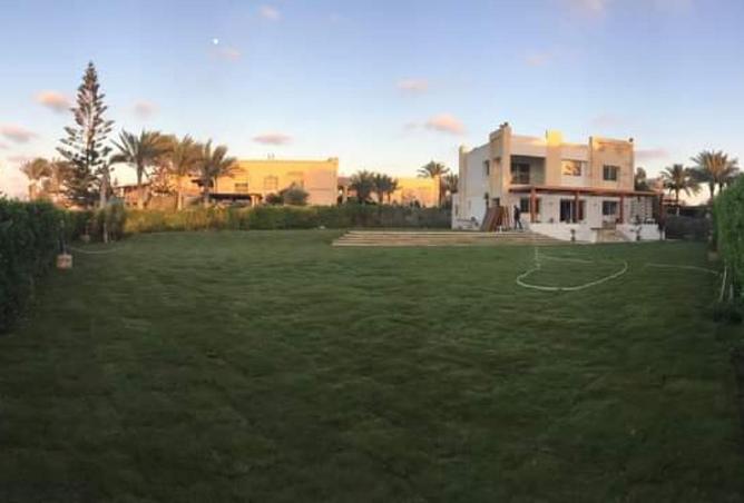 70621942 - صورة العقار 3