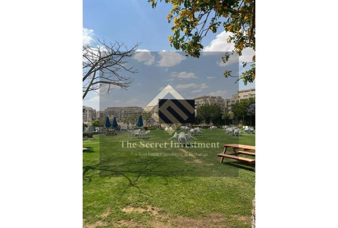 8493879 - Property Image 2