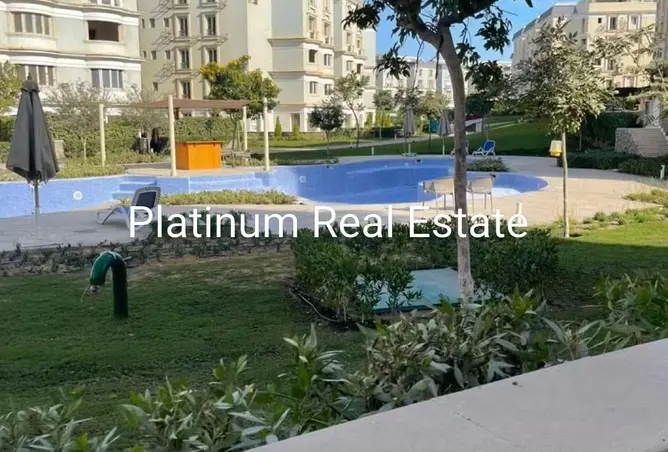 115444114 - Property Image 3