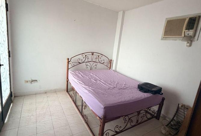 54489490 - Property Image 3