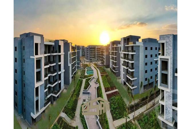 56000648 - Property Image 3