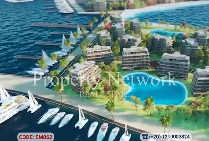 58985392 - Property Image 3