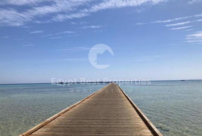 51417919 - صورة العقار 3