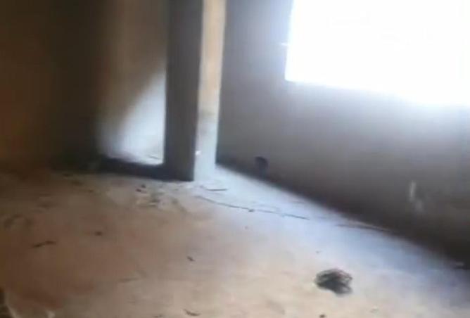 56006619 - صورة العقار 3