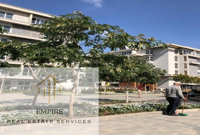 57740677 - Property Image 3