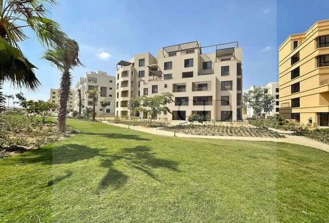 55246744 - Property Main Image