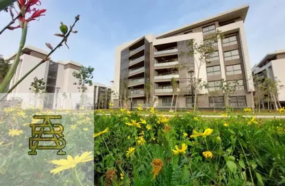 Apartment - 3 Bedrooms - 3 Bathrooms for sale in Madinaty - Cairo