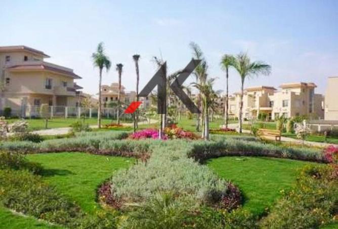 53218286 - Property Image 2