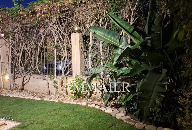 83677403 - صورة العقار 3