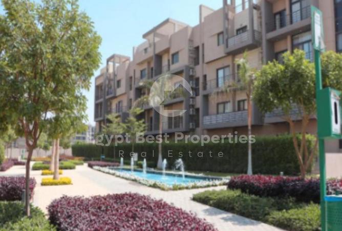 61697766 - Property Image 3