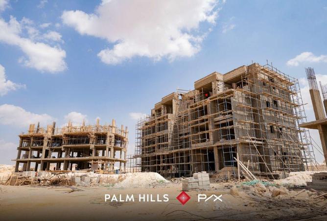 53469947 - Property Image 3