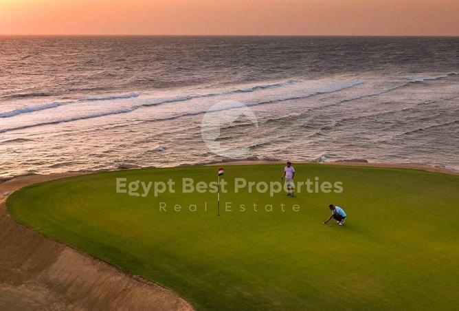 100095179 - Property Image 3