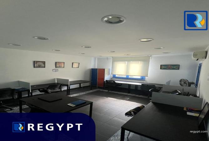 99113411 - Property Image 2