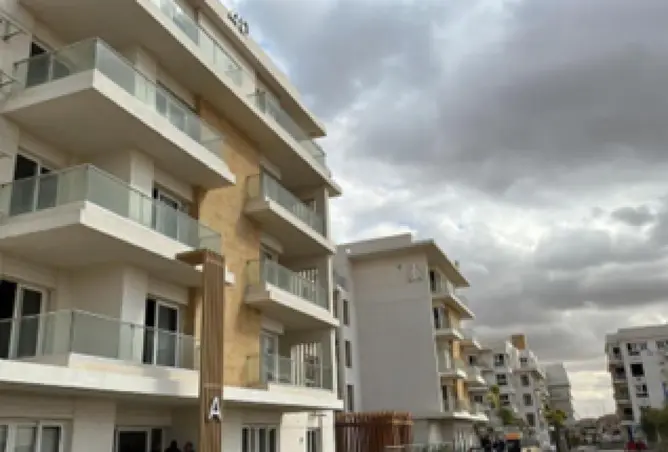 117011333 - Property Image 3