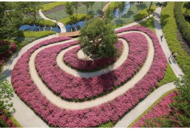 8597549 - صورة العقار 2