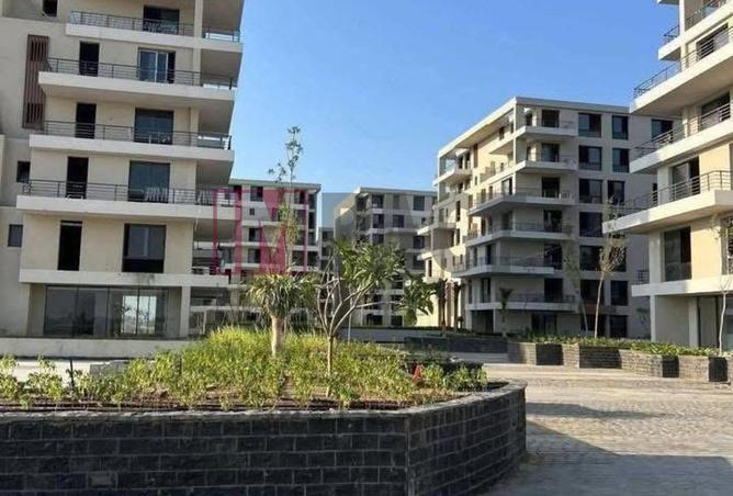 63144385 - Property Image 3