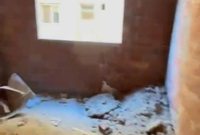 8631694 - صورة العقار 3