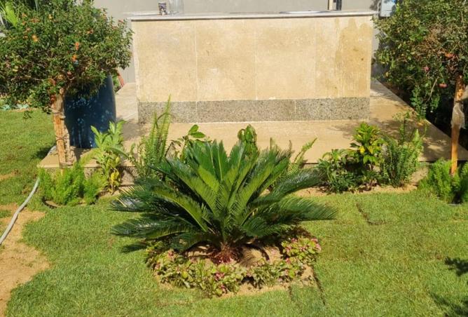 56506653 - Property Image 3