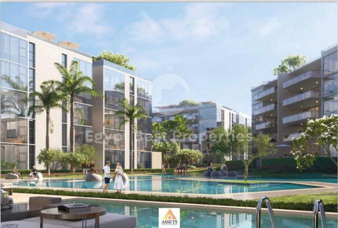 52460760 - Property Image 3