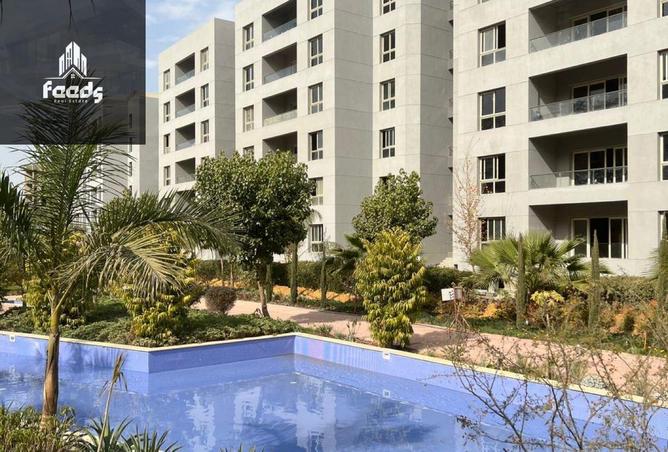 52450599 - Property Image 2