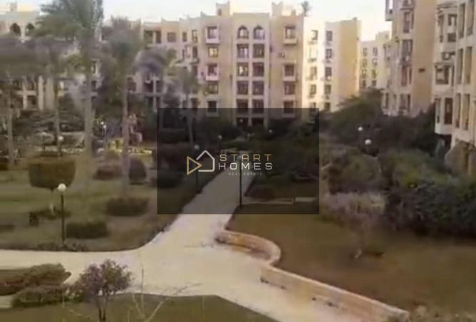 53472542 - Property Image 3