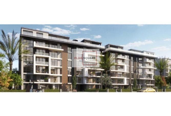 98816767 - Property Image 2