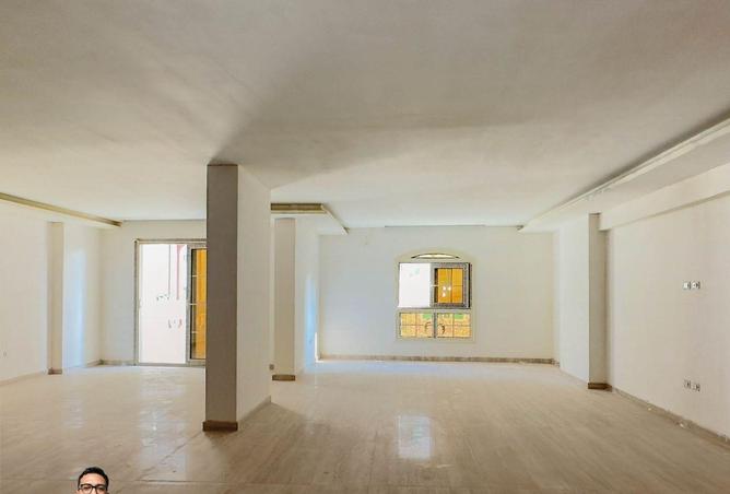 8717175 - Property Image 2