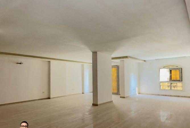 8717175 - Property Image 3