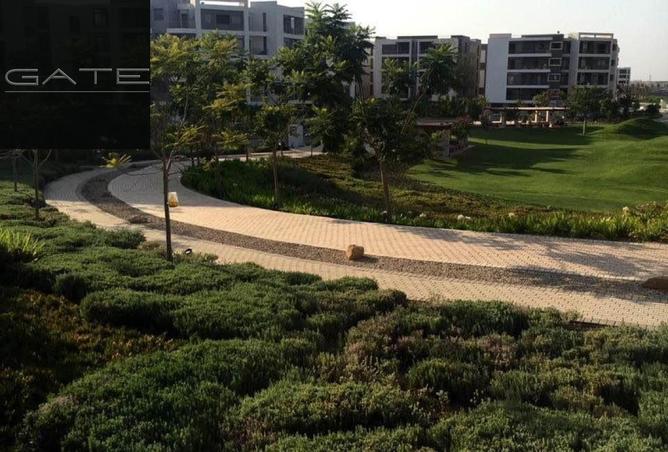 56504201 - Property Image 3