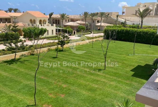 56253358 - صورة العقار 3