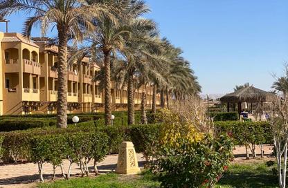 شاليه - 2 غرف نوم - 1 حمام للبيع في سانتا كلوز - راس سدر - رأس سدر - محافظة جنوب سيناء شاليه - 2 غرف نوم - 1 حمام للبيع في سانتا كلوز - راس سدر - رأس سدر - محافظة جنوب سيناء