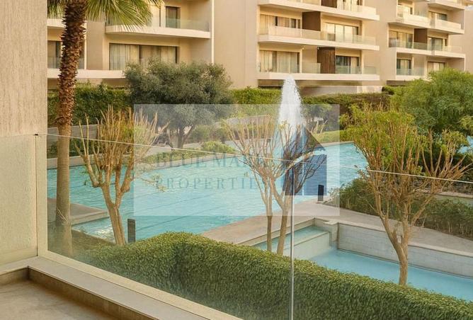 63382745 - Property Image 3