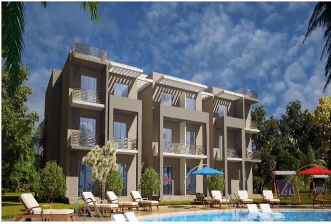 58982887 - Property Image 3