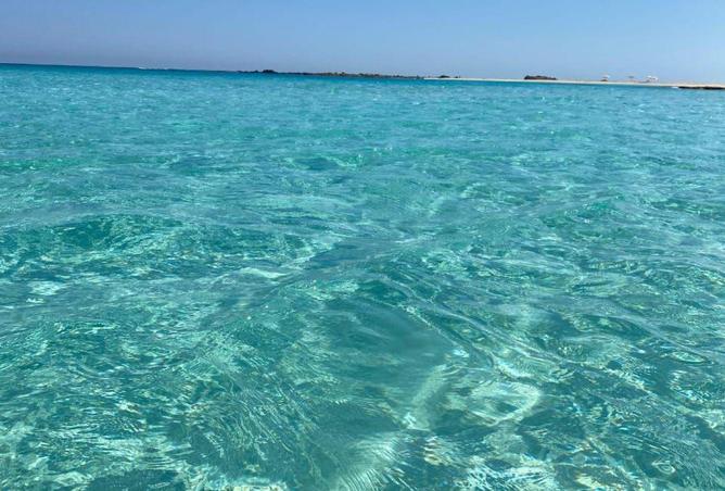 67479329 - Property Image 2